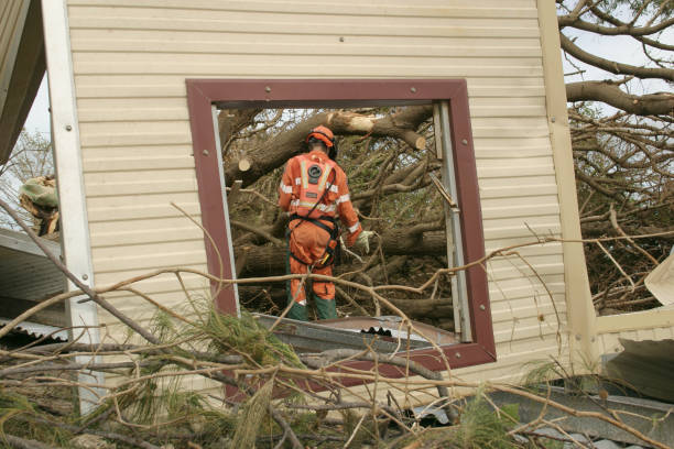 Best Tree Mulching  in Avenal, CA